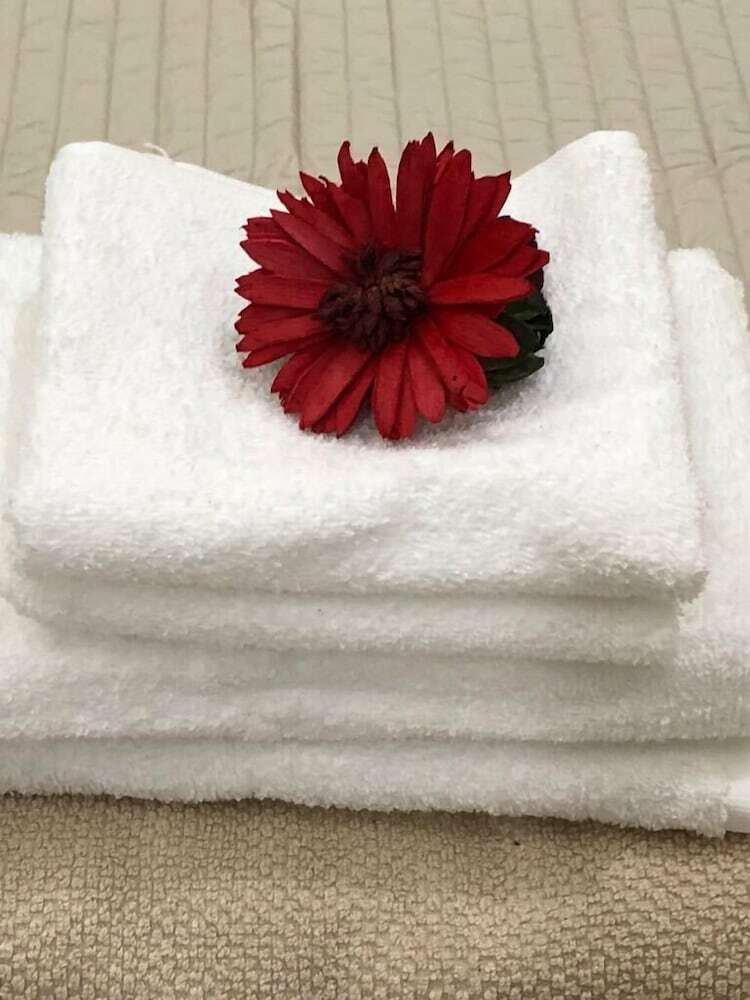 Hotel Silver House