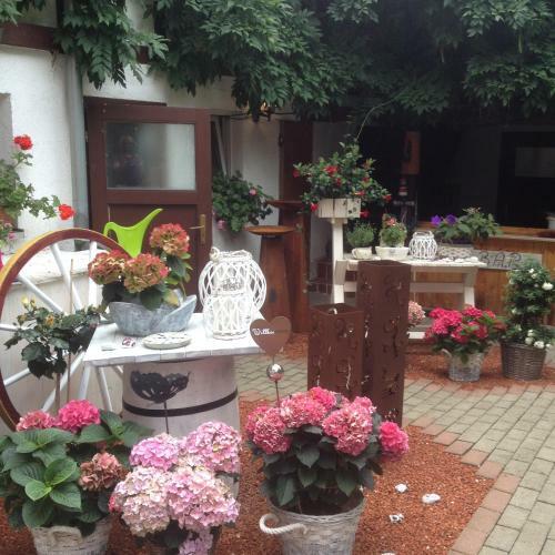 Apartamento Ferienwohnung Uwe's Sporth�tte