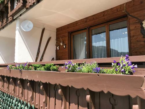 Apartamento Almblick Ferienwohnung