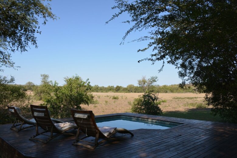 Rhino Walking Safaris