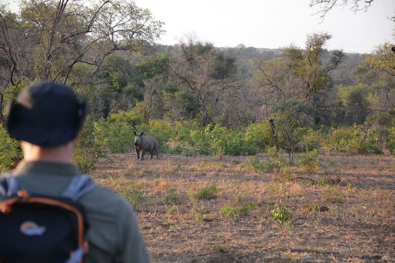 Rhino Walking Safaris