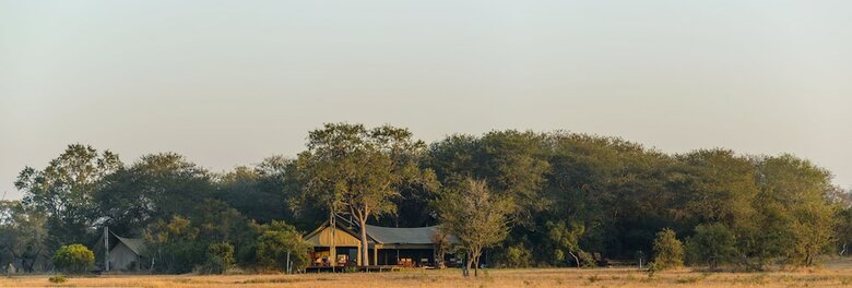 Rhino Walking Safaris
