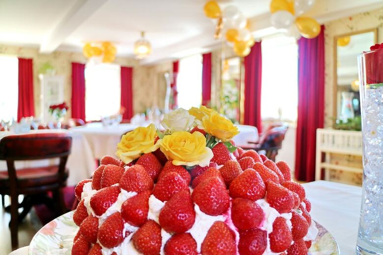 V�nerport Hotel