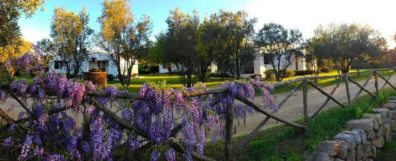 Agroturismo Agriturismo Li Scopi