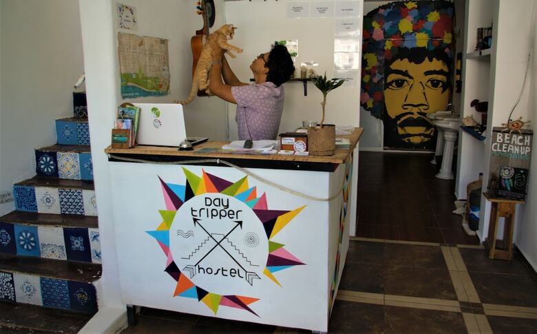 Hostal Daytripper Hostel