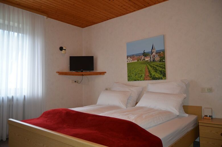 Hotel Weingut Gindorf