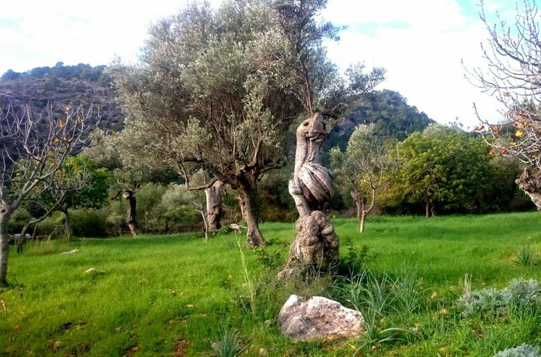Villa Sa Caseta