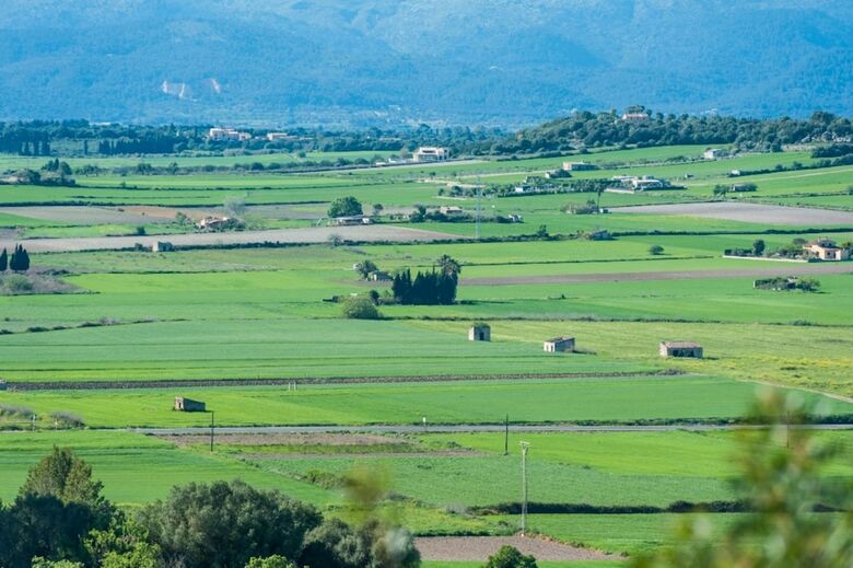 Villa Son Morro
