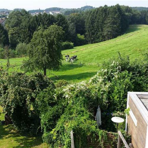 Hotel Eikamper H�he