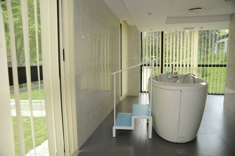 Hotel Borjomi Likani