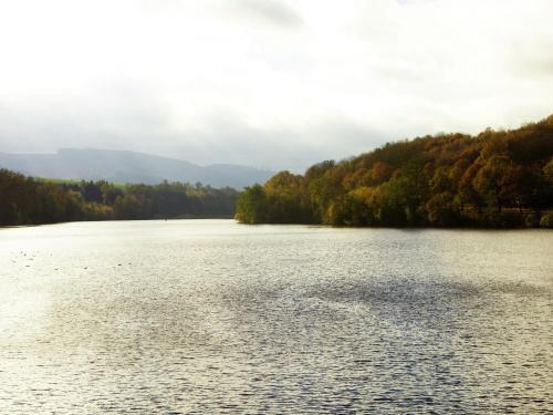Holiday Home Tanja Meschede Hennesee