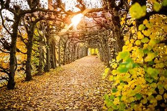 Hotel Dorint Resort & Spa Bad Br�ckenau