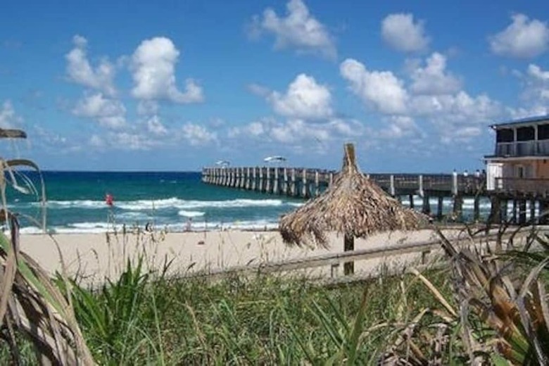Aparthotel Designer Decorated Palm Beach Hotel New