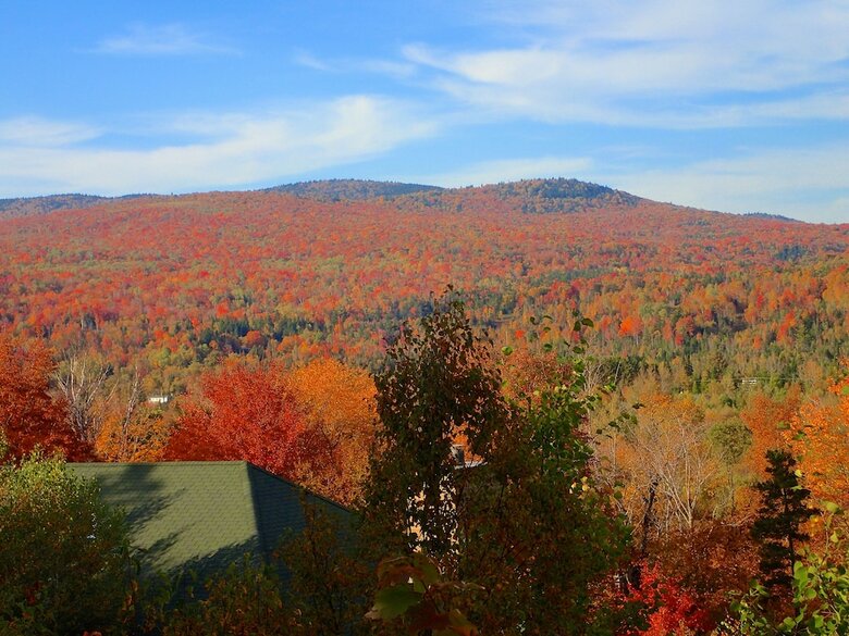 Slopeside Townhomes At Bretton Woods