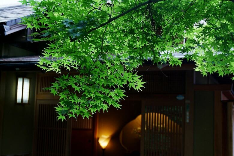 Komeya