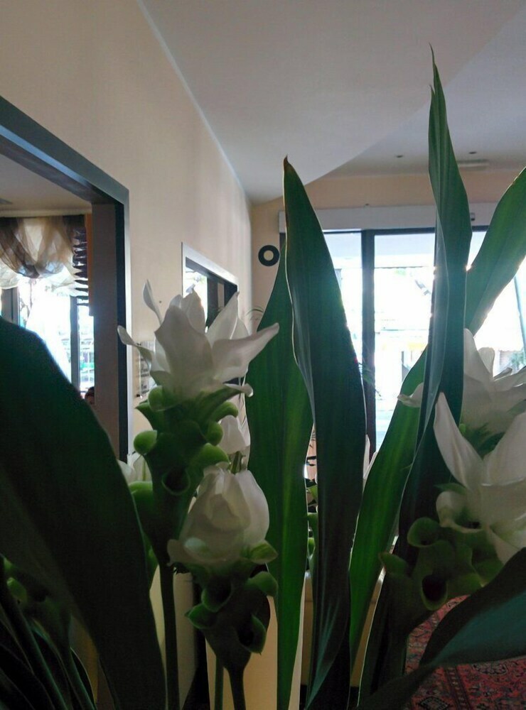 Hotel Gambrinus