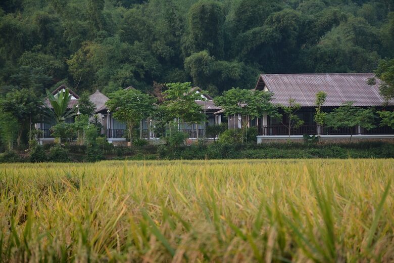 Hotel Sols Bungalows