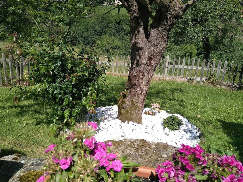 Agroturismo Casa La Cuesta