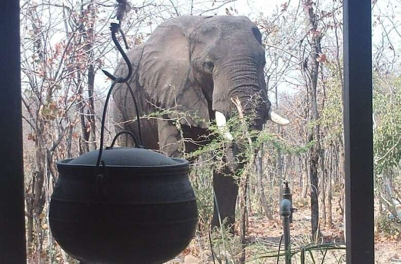 Posada Warthogs Bush Camp