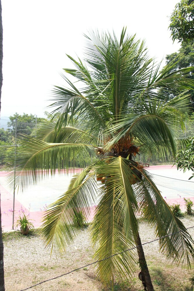 Hotel Anura Guest Inn
