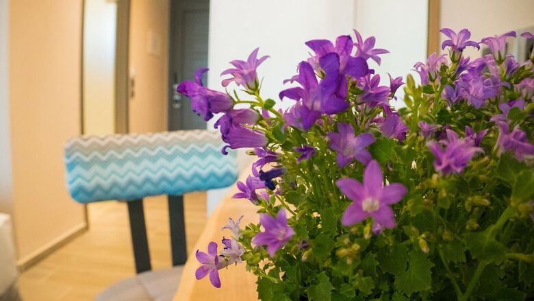 Hotel Costa Domus Blue Luxury Apartments
