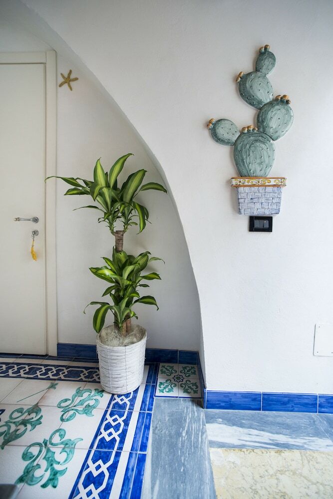 Zammu Bed And Breakfast