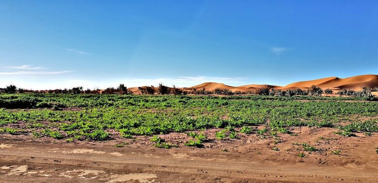 Hotel Kasbah Les Alizes Du Desert