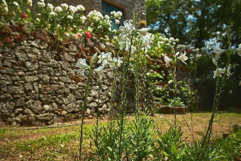 Apartamento La Loggetta