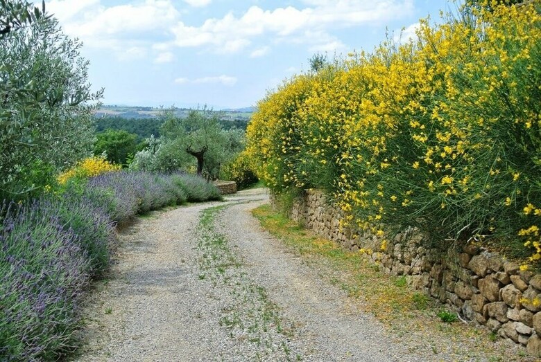 Agroturismo Borgo Sant'ambrogio Resort