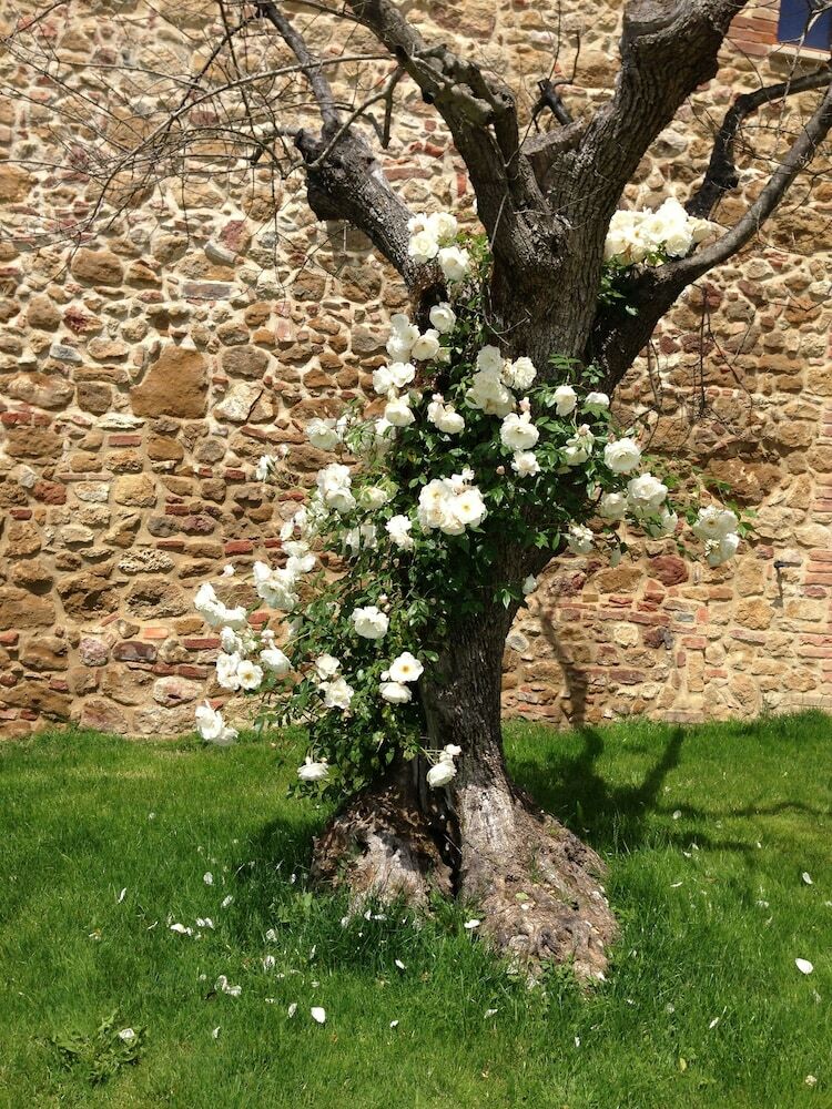 Agroturismo Borgo Sant'ambrogio Resort