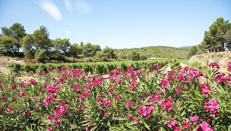 Hotel Chateau Cic�ron