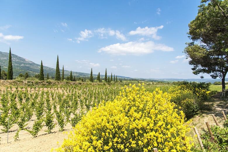 Hotel Chateau Cic�ron