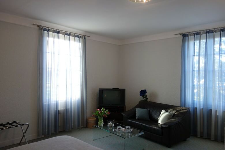 Hotel Le Platane