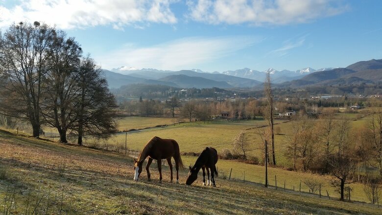 Bed & Breakfast Chambre D'h�tes St Jacques