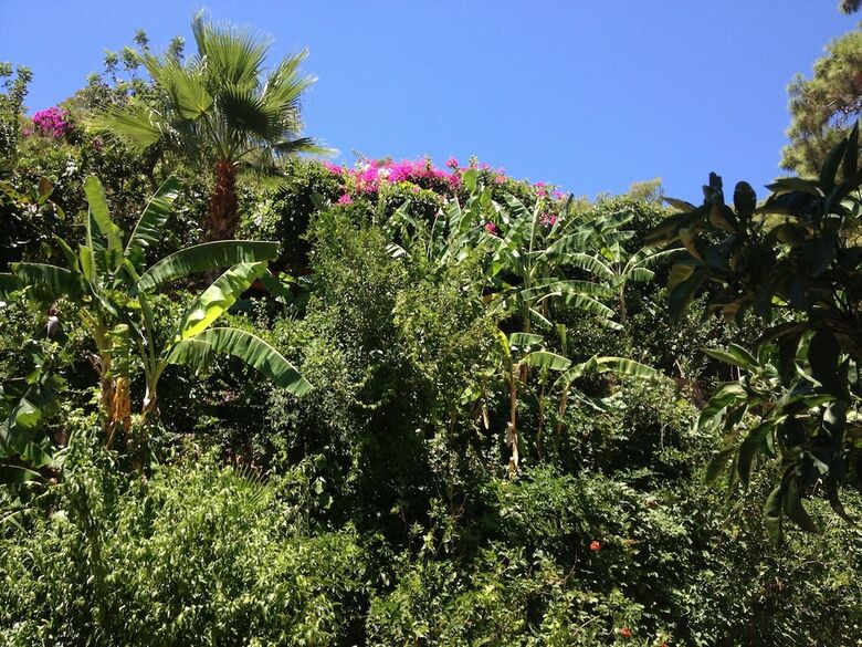 Aygul Hotel
