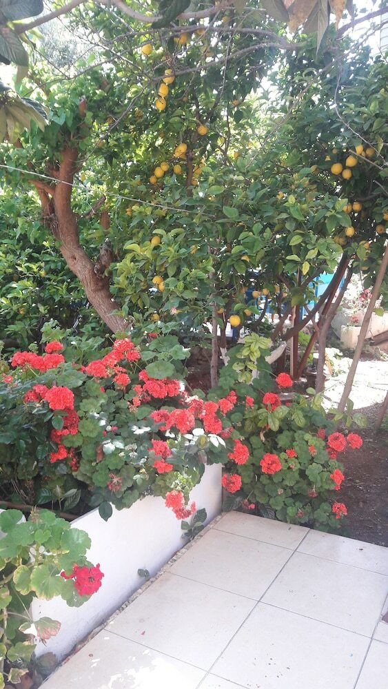 Hotel Likya Pansiyon