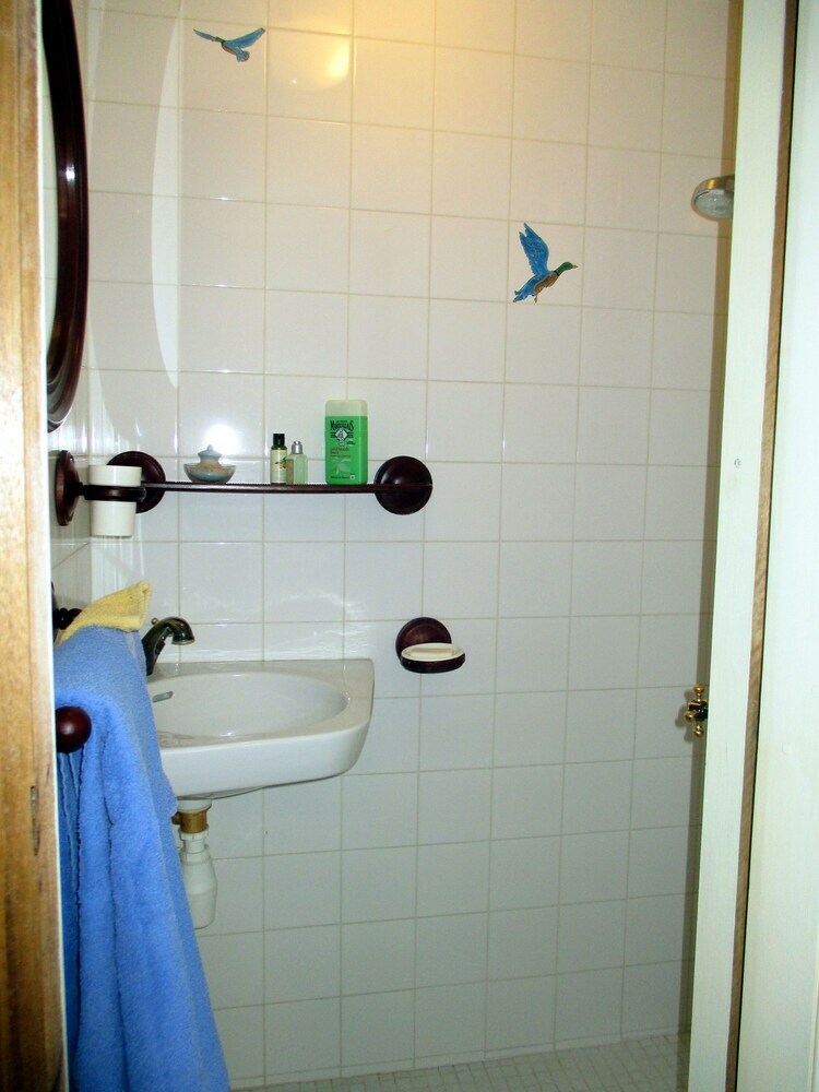 Hotel Dolphin's B&B