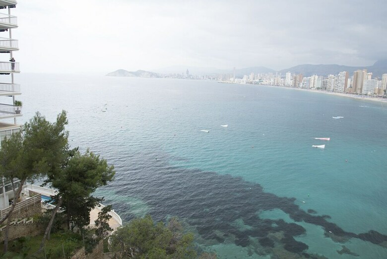 Apartamentos Para�so Lido Alquilevante