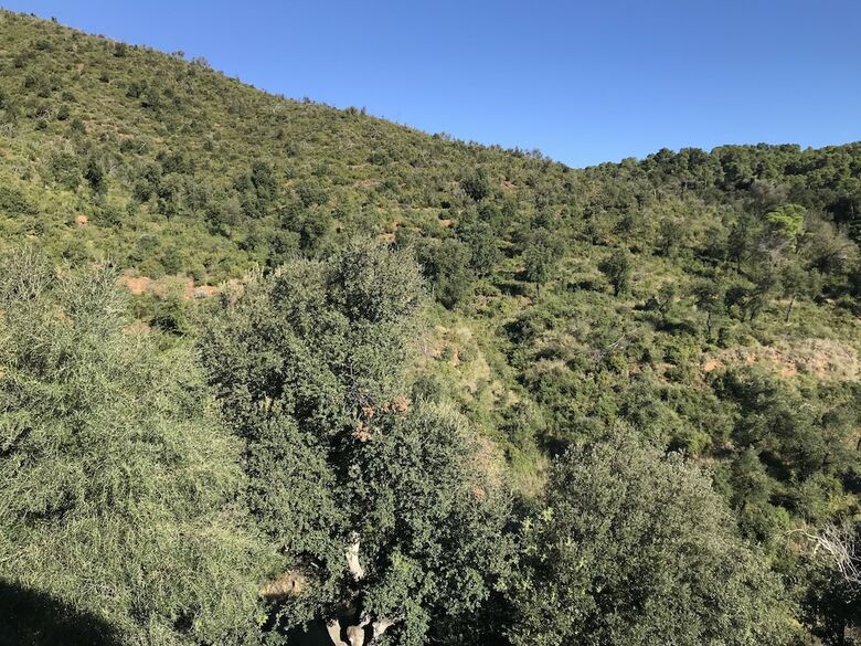 Hotel Finca Bell-lloc