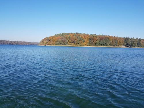 Hotel Pension Stechlinsee