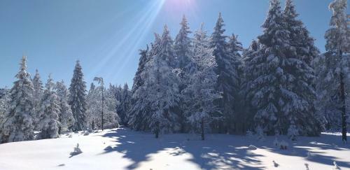Hostal Pension Berghof