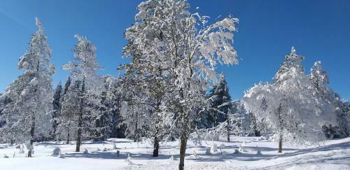 Hostal Pension Berghof