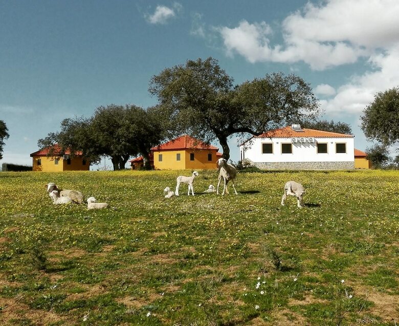 Hostal Albergue Turistico Cornalvo