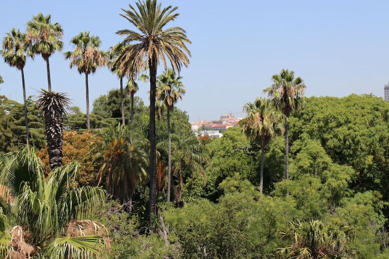 Hotel Botanic Views Guest House