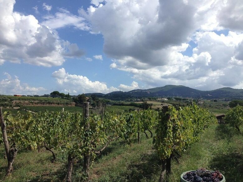 Agroturismo Country House Erba Regina