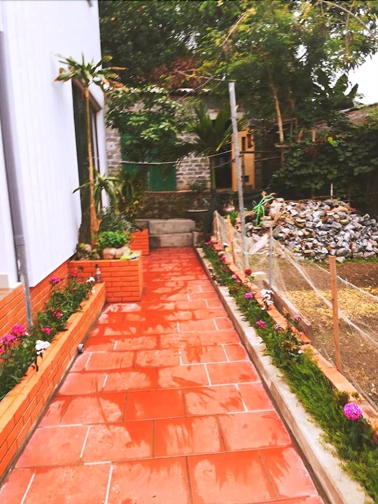 Hotel D'home Homestay Cat Ba