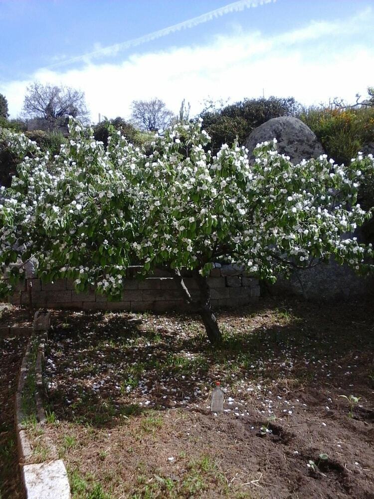 Bed & Breakfast La Collina Dei Ciliegi