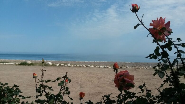 Hotel Yavuz Bungalow