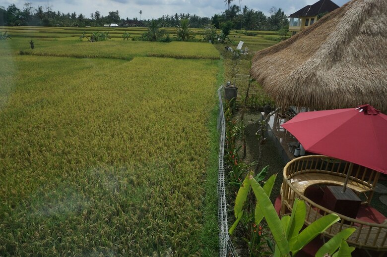 Bed & Breakfast Kubu Sari House