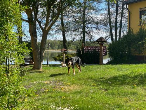 Hostal Seehof Netzen